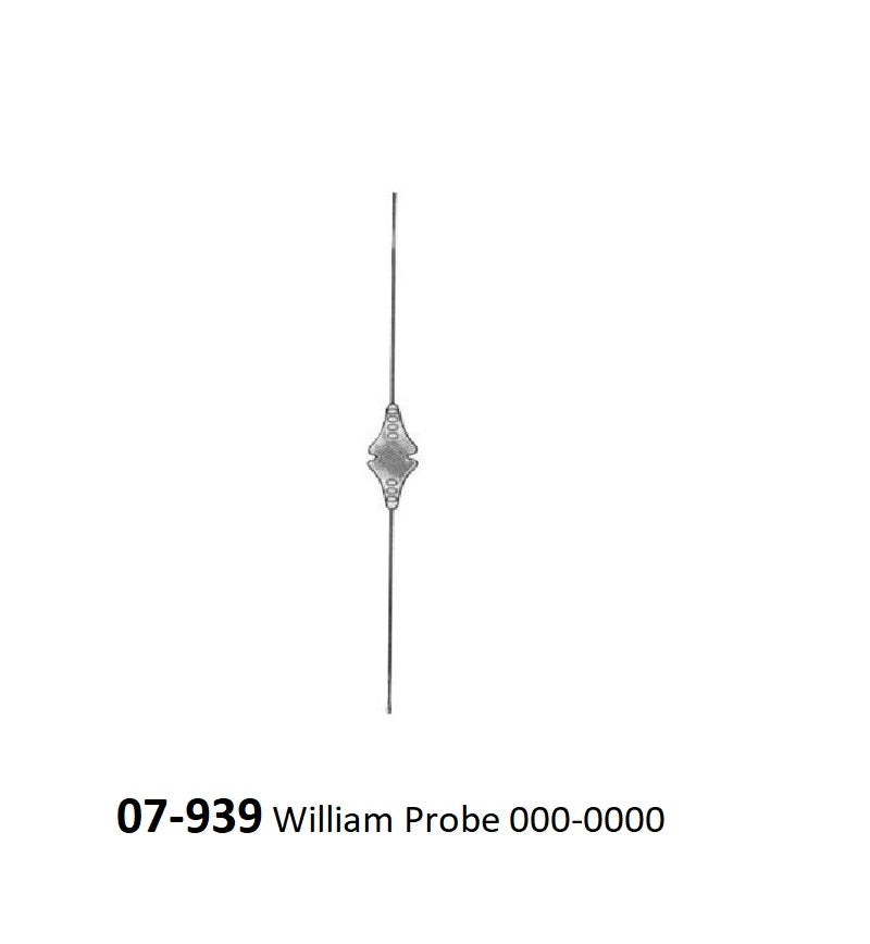 WILLIAM LA.CRIMAL PROBES 07-939