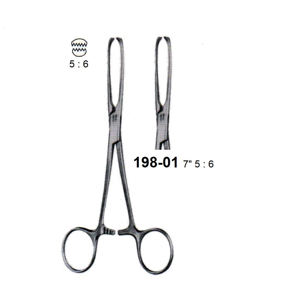ALLIS TISSUE FORCEPS 5 : 6 TEETH ,198-01