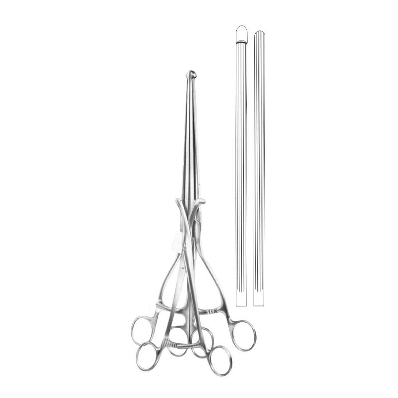 Haberer Stomach Inyestinal Twin Clamp Forceps