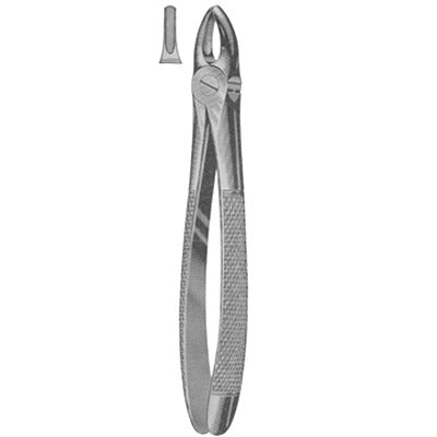 786-101 Fig1