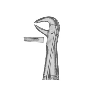 Extracting Forceps English Pattern