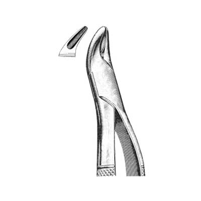Tooth Extracting Forceps American Pattern
