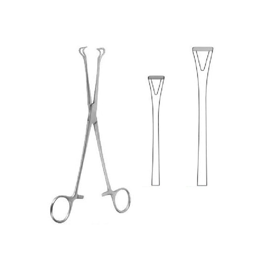 Babcock Seizing Forceps