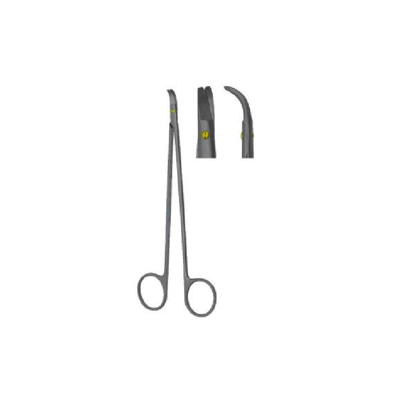 lntima Dissecting Scissors